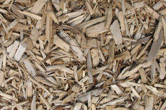 biomass boilers Scoonieburn